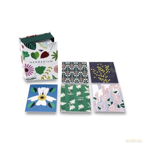 Herbarium: Notecards - Caz Hildebrand [KSIĄŻKA]