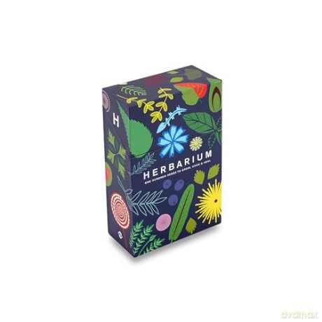 Herbarium: Reference Cards: One Hundred herbs to grow, cook and heal - Caz Hildebrand [KSIĄŻKA]