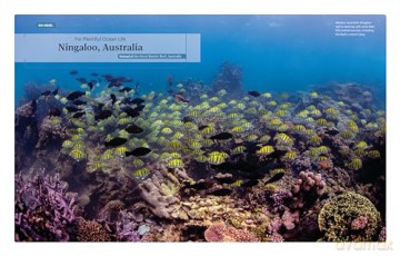 Here Not There: 100 Unexpected Travel Destinations - Andrew Nelson [KSIĄŻKA]