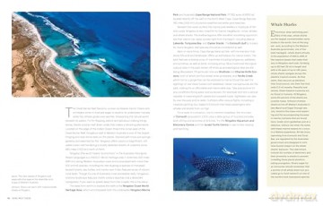 Here Not There: 100 Unexpected Travel Destinations - Andrew Nelson [KSIĄŻKA]