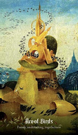 Hieronymus Bosch Tarot: 78 Cards and 112-page Guidebook - Travis McHenry [KSIĄŻKA]