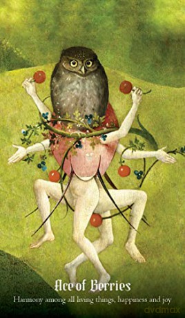 Hieronymus Bosch Tarot: 78 Cards and 112-page Guidebook - Travis McHenry [KSIĄŻKA]