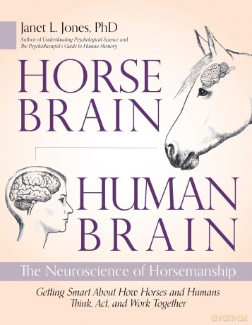 Horse Brain, Human Brain: The Neuroscience of Horsemanship - Janet Jones [KSIĄŻKA]