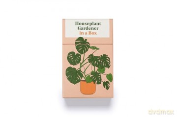 Houseplant Gardener in a Box: How to Care for Indoor Plants - Jane Perrone [KSIĄŻKA]