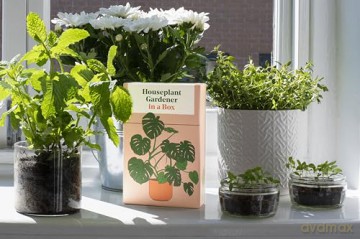 Houseplant Gardener in a Box: How to Care for Indoor Plants - Jane Perrone [KSIĄŻKA]