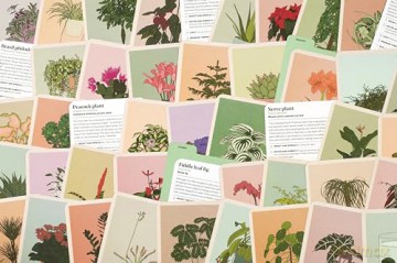 Houseplant Gardener in a Box: How to Care for Indoor Plants - Jane Perrone [KSIĄŻKA]
