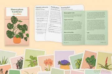 Houseplant Gardener in a Box: How to Care for Indoor Plants - Jane Perrone [KSIĄŻKA]