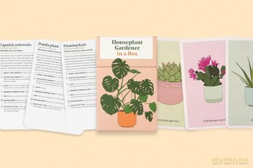 Houseplant Gardener in a Box: How to Care for Indoor Plants - Jane Perrone [KSIĄŻKA]