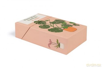 Houseplant Gardener in a Box: How to Care for Indoor Plants - Jane Perrone [KSIĄŻKA]