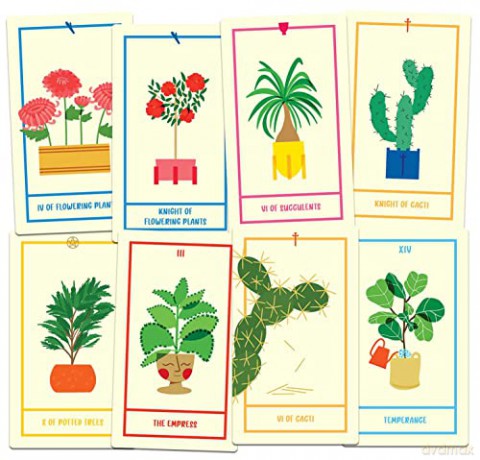 Houseplant Tarot: A 78-Card Deck of Adorable Plants and Succulents for Magical Guidance (Tarot/Oracle Decks) - Minerva Siegel [KSIĄŻKA]