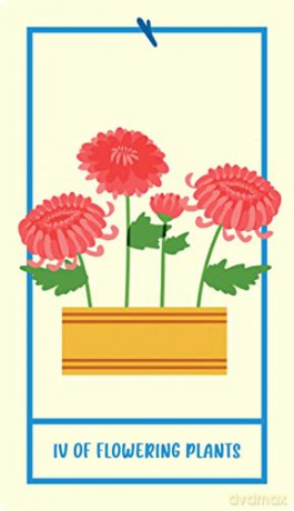Houseplant Tarot: A 78-Card Deck of Adorable Plants and Succulents for Magical Guidance (Tarot/Oracle Decks) - Minerva Siegel [KSIĄŻKA]