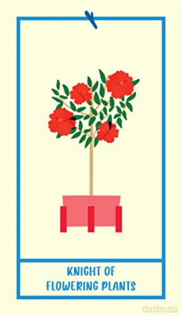 Houseplant Tarot: A 78-Card Deck of Adorable Plants and Succulents for Magical Guidance (Tarot/Oracle Decks) - Minerva Siegel [KSIĄŻKA]