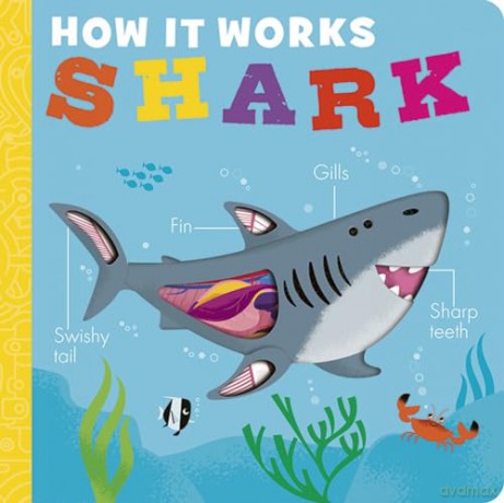 How it Works: Shark - Molly Littleboy [KSIĄŻKA]