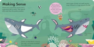 How it Works: Shark - Molly Littleboy [KSIĄŻKA]