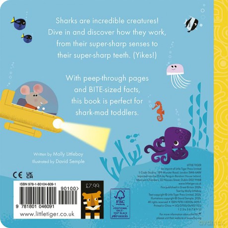 How it Works: Shark - Molly Littleboy [KSIĄŻKA]