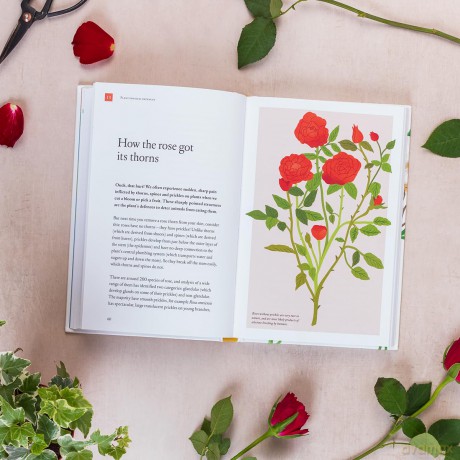 How the Rose Got Its Thorns: And Other Botanical Stories - Dr Andrew Ormerod [KSIĄŻKA]