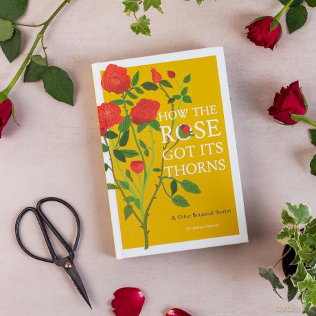 How the Rose Got Its Thorns: And Other Botanical Stories - Dr Andrew Ormerod [KSIĄŻKA]