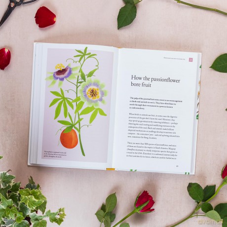 How the Rose Got Its Thorns: And Other Botanical Stories - Dr Andrew Ormerod [KSIĄŻKA]