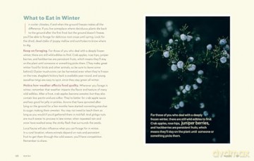 How to Forage for Wild Foods without Dying Journal: Track the Mushrooms and Wild Edible Plants You Find, Season by Season, Year after Year - Ellen Zachos [KALENDARZ]