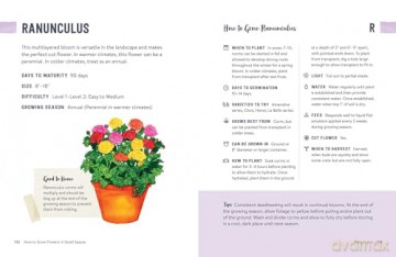 How to Grow Flowers in Small Spaces: An Illustrated Guide to Planning, Planting, and Caring for Your Small Space Flower Garden - Stephanie Walker [KSIĄŻKA]