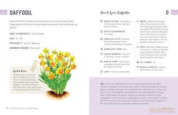 How to Grow Flowers in Small Spaces: An Illustrated Guide to Planning, Planting, and Caring for Your Small Space Flower Garden - Stephanie Walker [KSIĄŻKA]