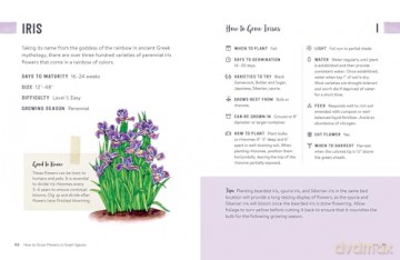 How to Grow Flowers in Small Spaces: An Illustrated Guide to Planning, Planting, and Caring for Your Small Space Flower Garden - Stephanie Walker [KSIĄŻKA]
