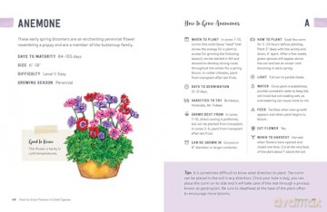 How to Grow Flowers in Small Spaces: An Illustrated Guide to Planning, Planting, and Caring for Your Small Space Flower Garden - Stephanie Walker [KSIĄŻKA]