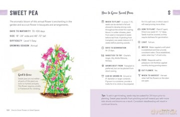 How to Grow Flowers in Small Spaces: An Illustrated Guide to Planning, Planting, and Caring for Your Small Space Flower Garden - Stephanie Walker [KSIĄŻKA]