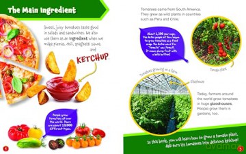 How to Grow Tomato Ketchup - Ruth Owen [KSIĄŻKA]
