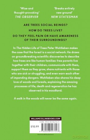 How Trees Can Save the World: Peter Wohlleben - Peter Wohlleben [KSIĄŻKA]