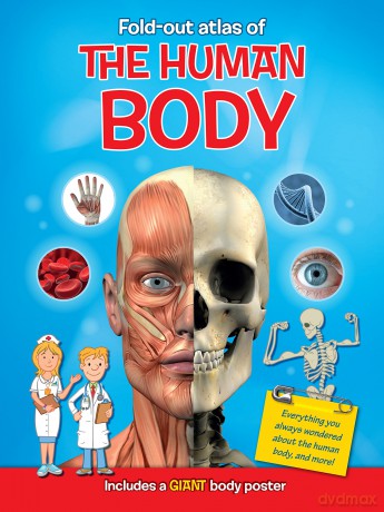 Human Body - Yoyo Books [KSIĄŻKA]