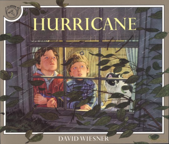 Hurricane (paperback) - K. D. Sullivan [KSIĄŻKA]