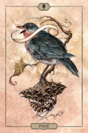 Hush Tarot - Jeremy Hush [KSIĄŻKA]