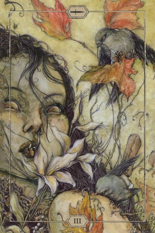 Hush Tarot - Jeremy Hush [KSIĄŻKA]