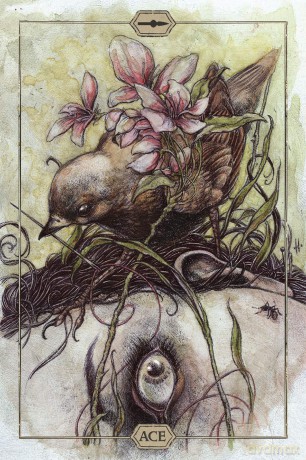 Hush Tarot - Jeremy Hush [KSIĄŻKA]