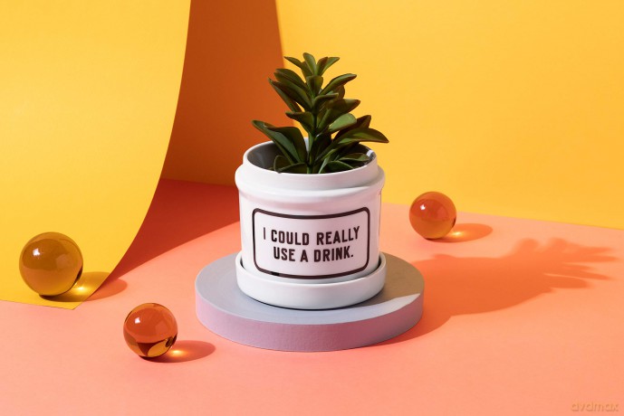 I Could Really Use A Drink Planter w/ Drip Tray - Brass Monkey [KSIĄŻKA]