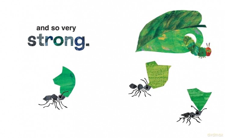 I Love Grandma with The Very Hungry Caterpillar - Eric Carle [KSIĄŻKA]
