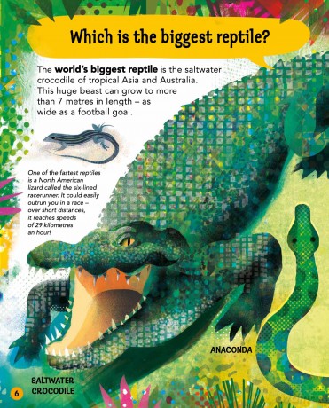 I Wonder Why Snakes Shed Their Skin (I Wonder Why, 6) - Amanda O'Neill [KSIĄŻKA]