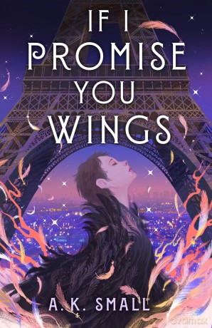 If I Promise You Wings - A.K. Small [KSIĄŻKA]