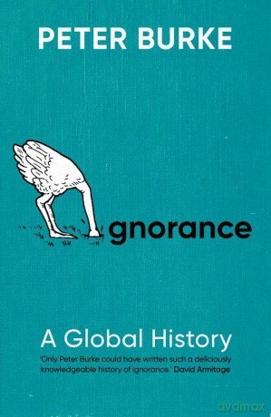 Ignorance: A Global History - Cissy Houston [KSIĄŻKA]