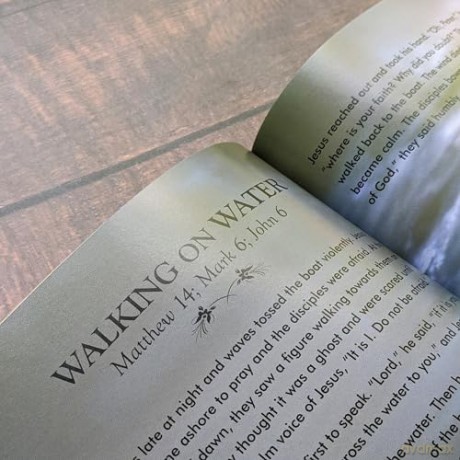 Illustrated Childrens Bible [KSIĄŻKA]