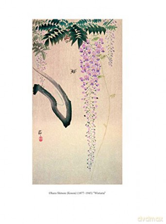 In a Japanese Garden Coloring Book: With Reflections from Lafcadio Hearn's 'In a Japanese Garden' - Lafcadio Hearn [KSIĄŻKA]