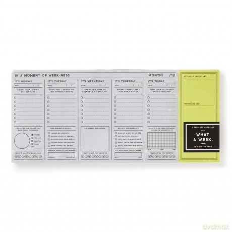 In a Moment of Weekness Weekly Planner Pad - Brass Monkey [KSIĄŻKA]