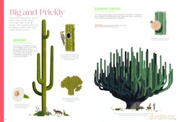 Incredible: Stars of the Plant World - Benjamin Flouw [KSIĄŻKA]