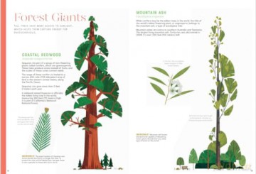 Incredible: Stars of the Plant World - Benjamin Flouw [KSIĄŻKA]