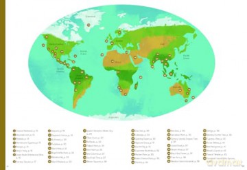 Incredible: Stars of the Plant World - Benjamin Flouw [KSIĄŻKA]