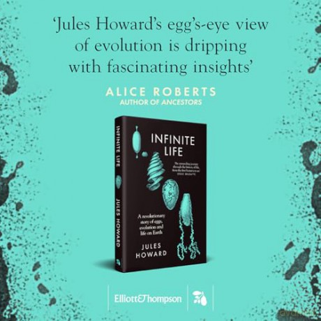Infinite Life: A Revolutionary Story of Eggs, Evolution and Life on Earth - Jules Howard [KSIĄŻKA]