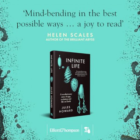 Infinite Life: A Revolutionary Story of Eggs, Evolution and Life on Earth - Jules Howard [KSIĄŻKA]