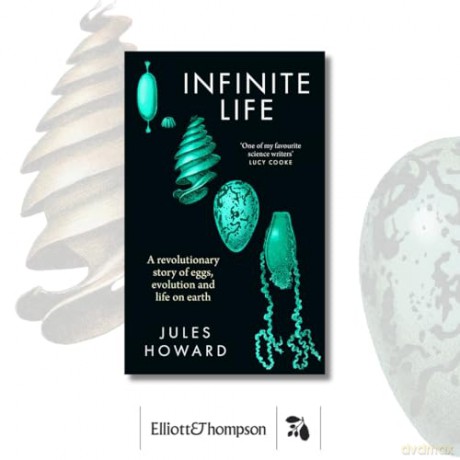 Infinite Life: A Revolutionary Story of Eggs, Evolution and Life on Earth - Jules Howard [KSIĄŻKA]