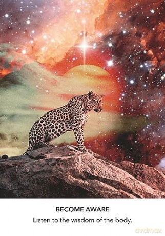 Inner Child Oracle: A 44-Card Deck and Guidebook to Heal Your Past and Embrace Your Present - Amanda Lynn Aisling [KSIĄŻKA]